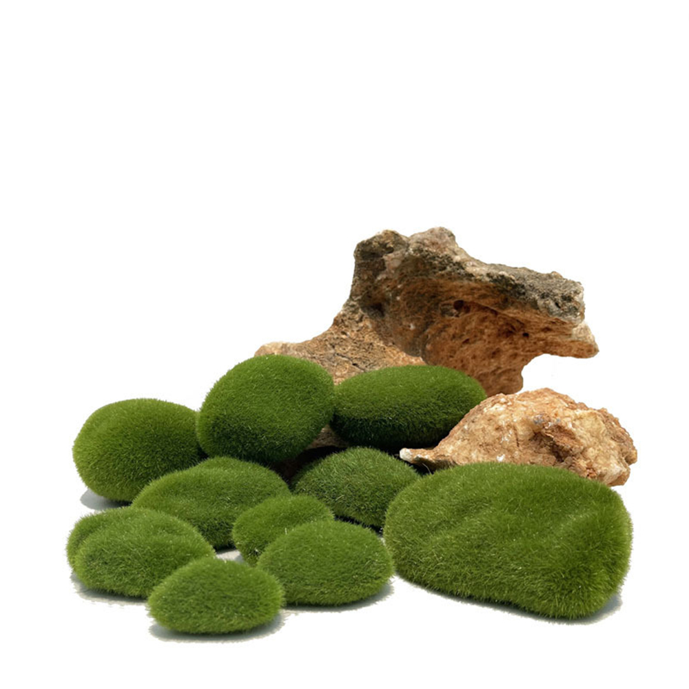 인공 가짜 이끼 바위 영원한 생명 녹색 식물 잔디 풍경 - Sphagnum Moss Dry 리뷰 및 가격